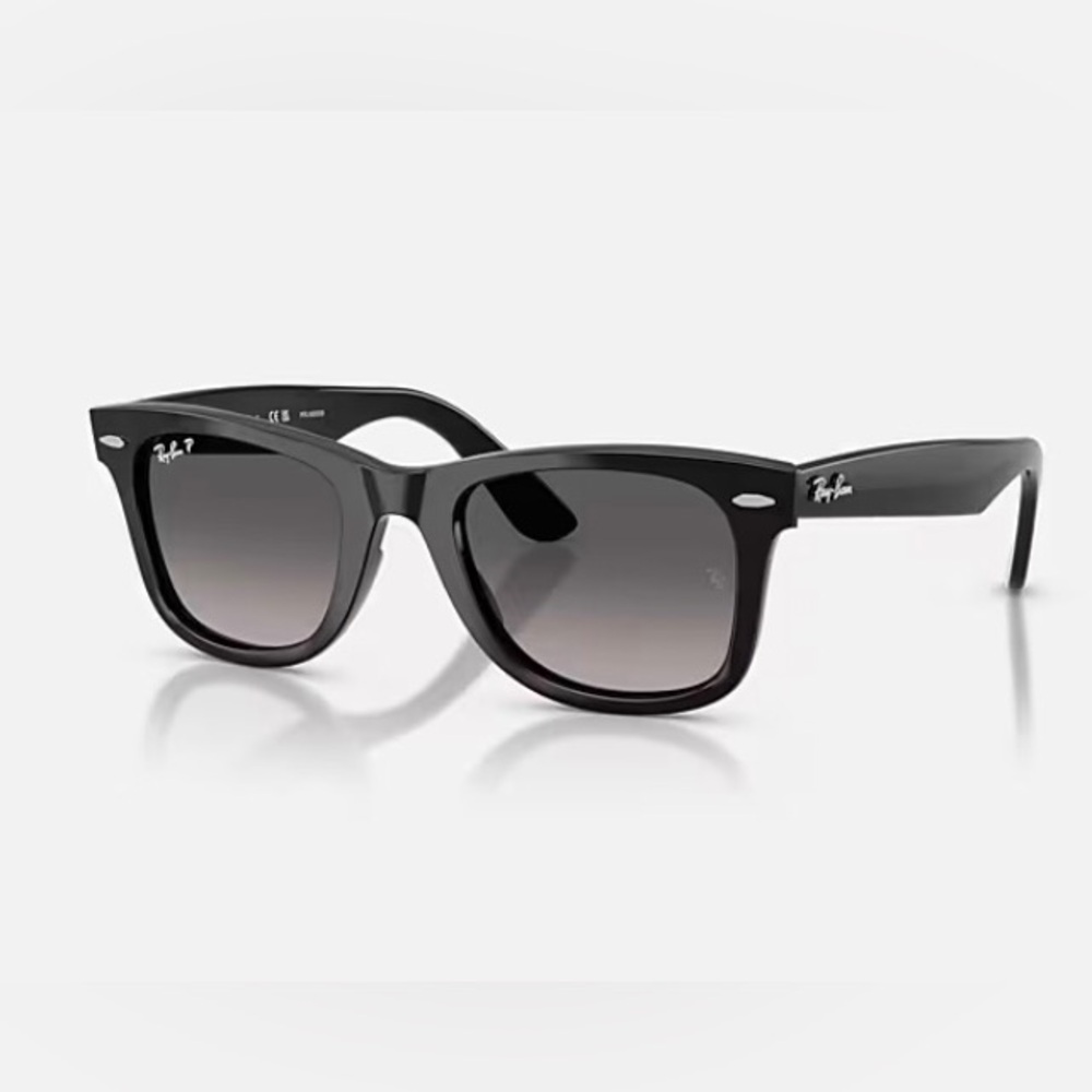 Ray-Ban Wayfarer Sunglasses